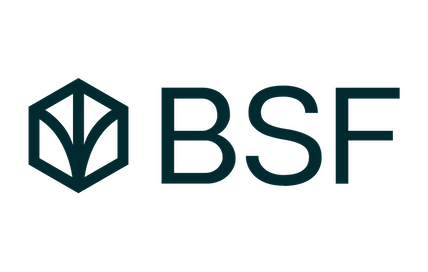 bsf bank logo